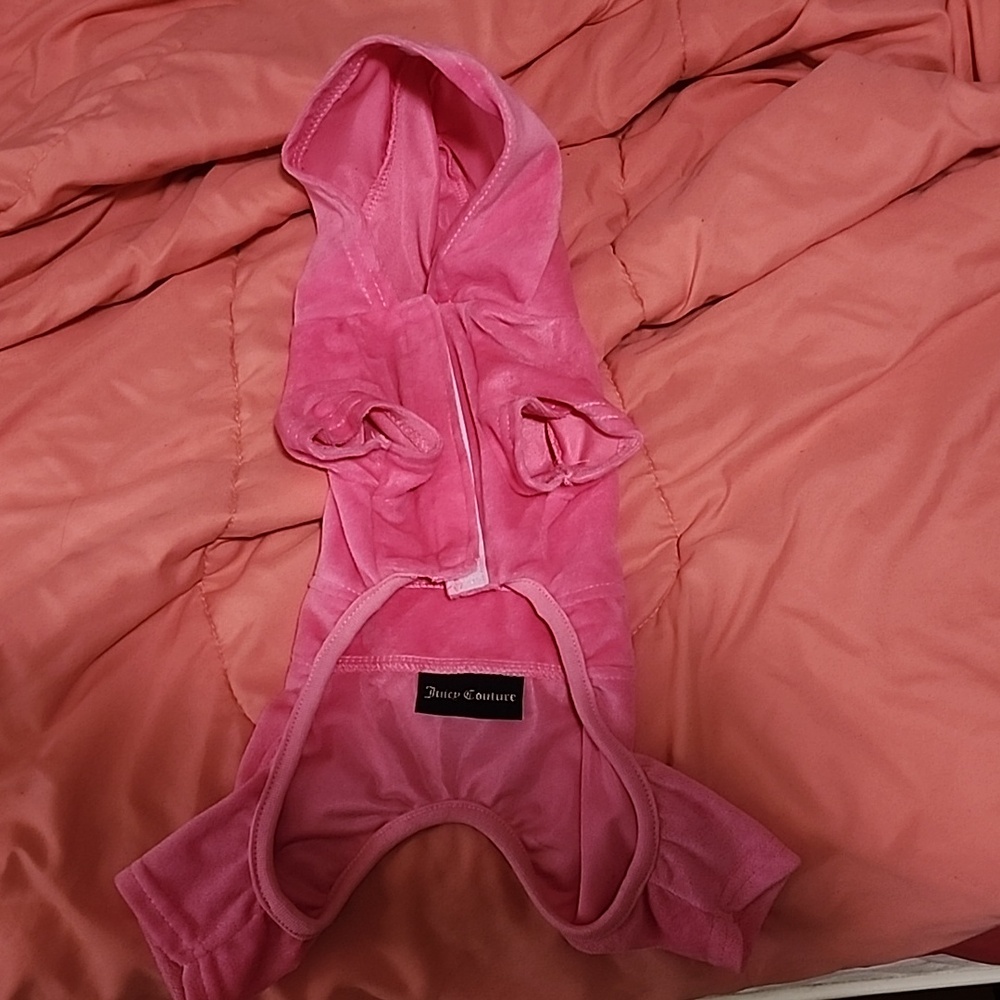 Dog clothes
